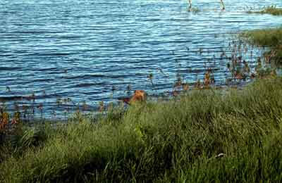 水利工程施工技術(shù)