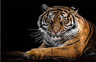 影視行業(yè)發(fā)展前景