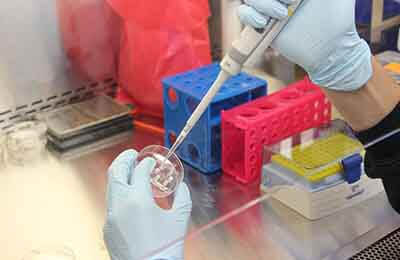 科學(xué)研究管理