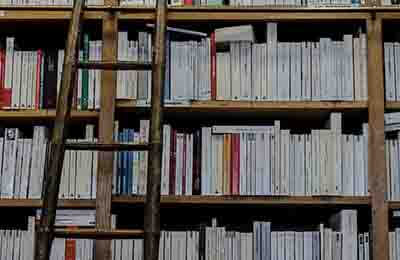 國(guó)內(nèi)媒介文化