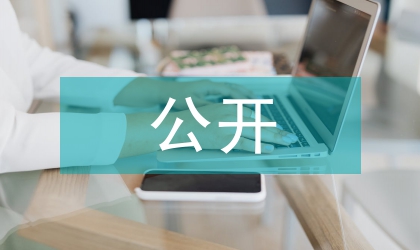 行政權(quán)力公開實(shí)施方案