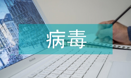 網(wǎng)絡(luò)時(shí)代病毒安全