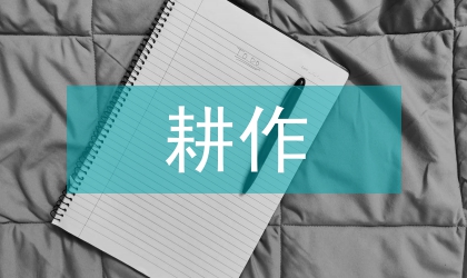 微型耕作機(jī)械發(fā)展對策