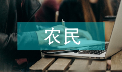 當代農民維權政治