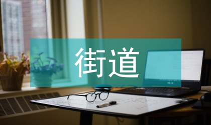 街道資產管理工作意見