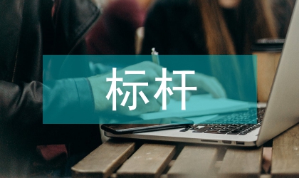標(biāo)桿公司實踐感悟