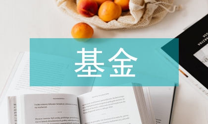 主權(quán)基金論文