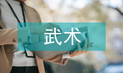 國(guó)內(nèi)武術(shù)文化研究綜述