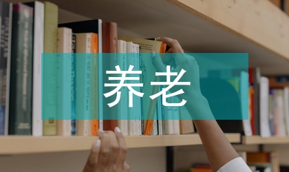 養(yǎng)老基金投資運行問題綜述