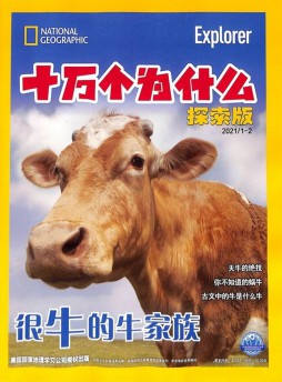 十萬(wàn)個(gè)為什么