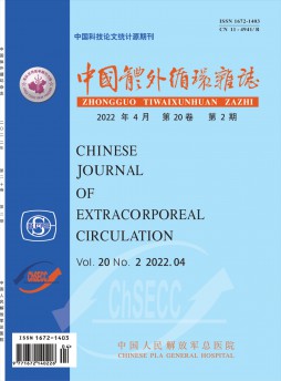 中國體外循環(huán)