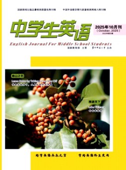 中學(xué)生英語